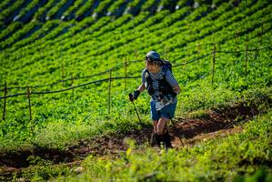 BIB: 
                            <button type="button" onclick="openModal(19160439)" class="btn btn-primary btn-sm float-right btn-popup" data-toggle="modal" data-target=".modal-high-quality">
                        <i class="fas fa-shopping-cart"></i> Add to Cart
                    </button>
                                            <button type="button" onclick="isThisMe(19160439, true)" class="btn btn-success btn-sm float-right btn-popup btn-isme hidden" data-toggle="tooltip" data-placement="bottom" title="นี่คือรูปของคุณใช่ไหม คลิกที่นี่เพื่อเอาเข้าอัลบั้ม">
                        <i class="fas fa-plus"></i> Add to album
                    </button>
                    <button type="button" onclick="isThisMe(19160439, false)" class="btn btn-warning btn-sm float-right btn-popup btn-isnotme hidden">
                        <i class="fas fa-ban"></i> Remove from album
                    </button>